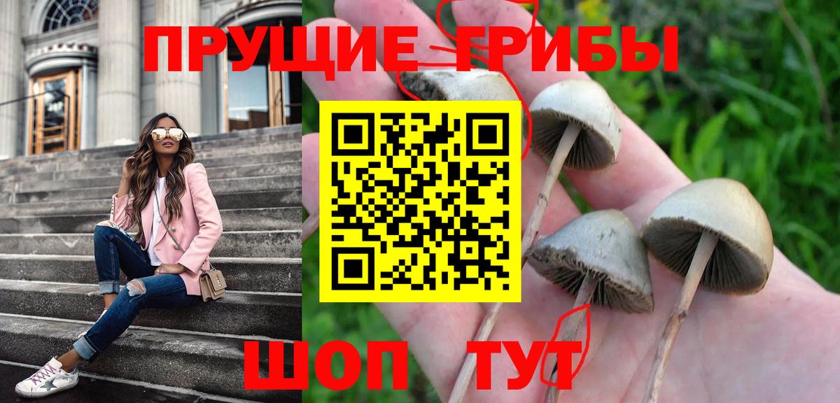 Галлюциногенные грибы Psilocybe  Вход с VPN  наркотики  Саки 