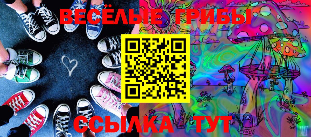 Псилоцибиновые грибы ЛСД Саки